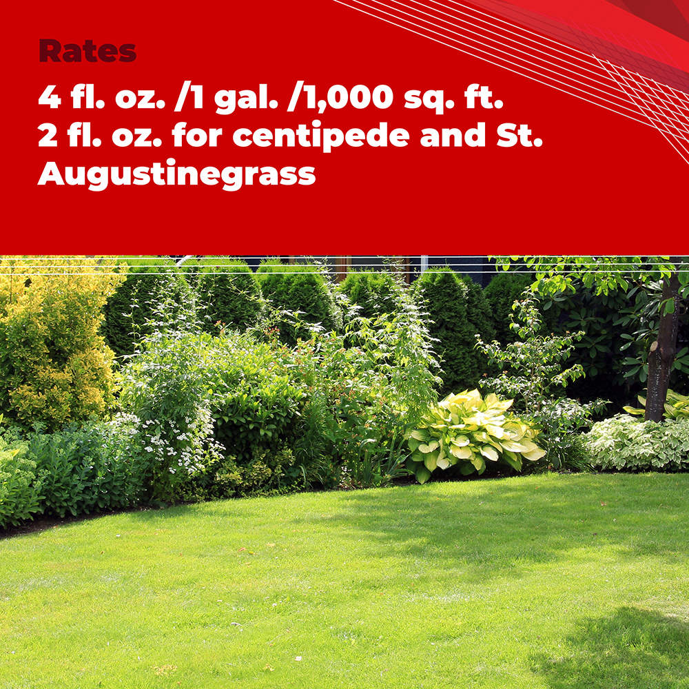 Trimec application rates: 4 fl. oz. per 1 gallon per 1,000 sq. ft., or 2 fl. oz. for centipede and St. Augustinegrass