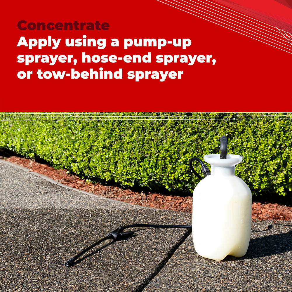 Trimec concentrate applied using a pump-up sprayer, hose-end sprayer or tow-behind sprayer